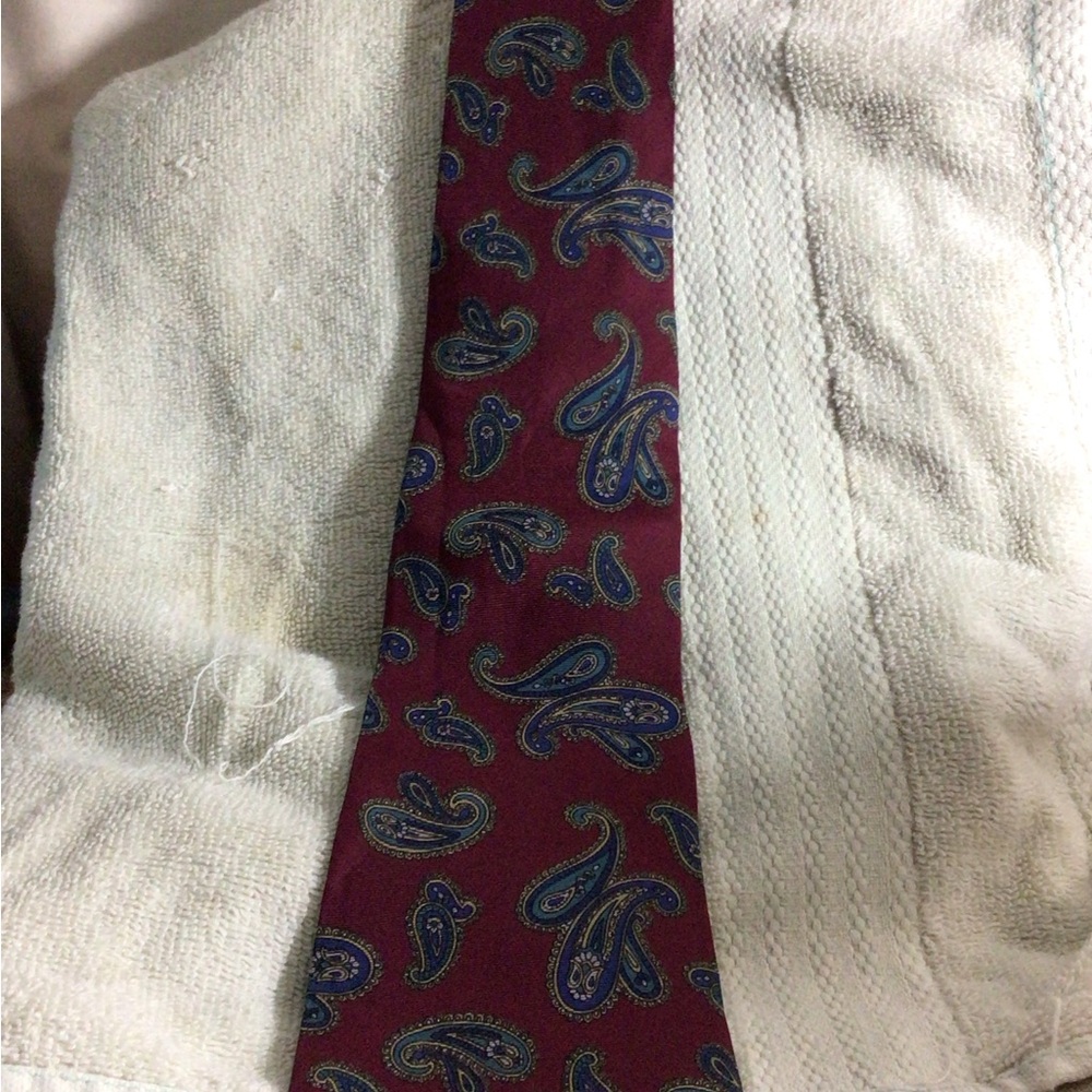 Men's Burgundy Paisley Tie with Blue Accents